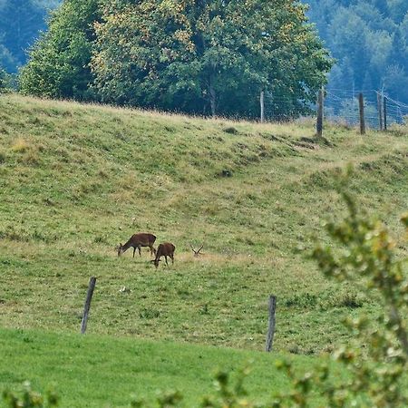 Hof Hauserbichl Fischbachau Zewnętrze zdjęcie